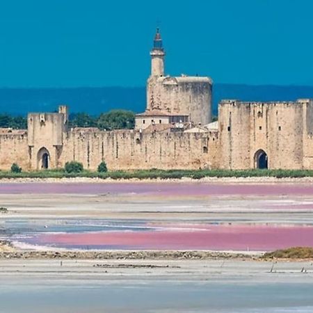 Studio En Petite Camargue Le Cailar 외부 사진