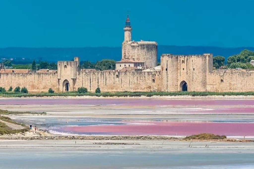 Studio En Petite Camargue Le Cailar 외부 사진